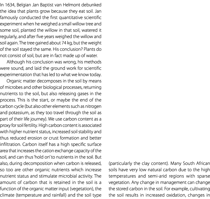 In 1634, Belgian Jan Baptist van Helmont debunked the idea that plants grow because they eat soil. Jan famously condu...