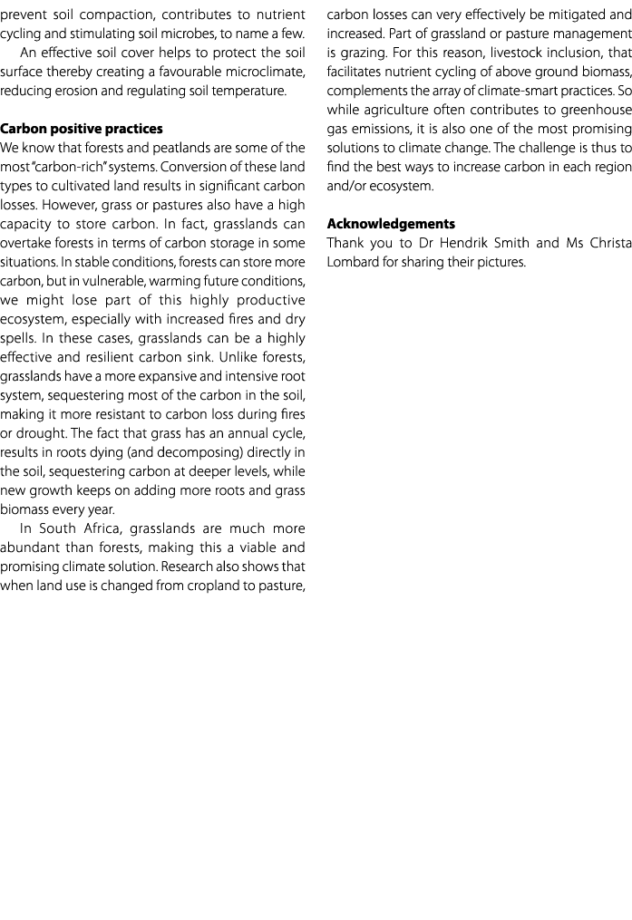 prevent soil compaction, contributes to nutrient cycling and stimulating soil microbes, to name a few. An effective s...