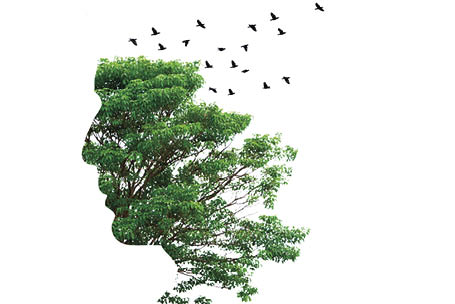 Double exposure illustration, man silhouette with tree.