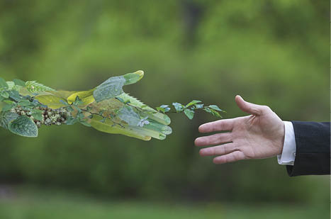 Hand of a businessman reach out towards hand of the nature