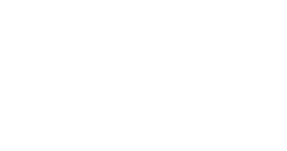 ECONOMIC Access to funding Financial sustainability Labour job creation/increase in income of local community Export ...