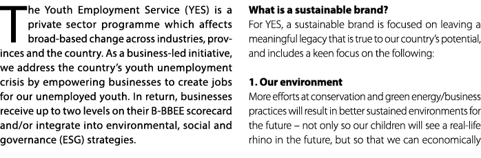 The Youth Employment Service (YES) is a private sector programme which affects broad based change across industries, ...