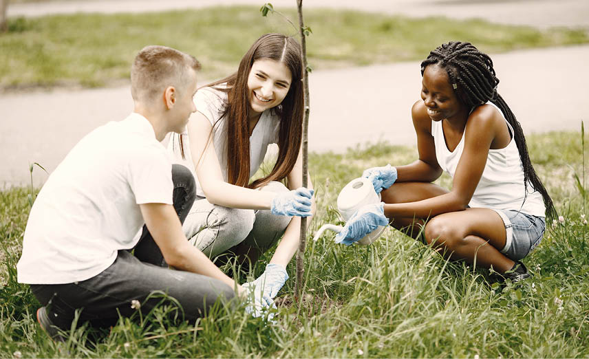 Group of young volunteers in park. They are planting a tree seedling.