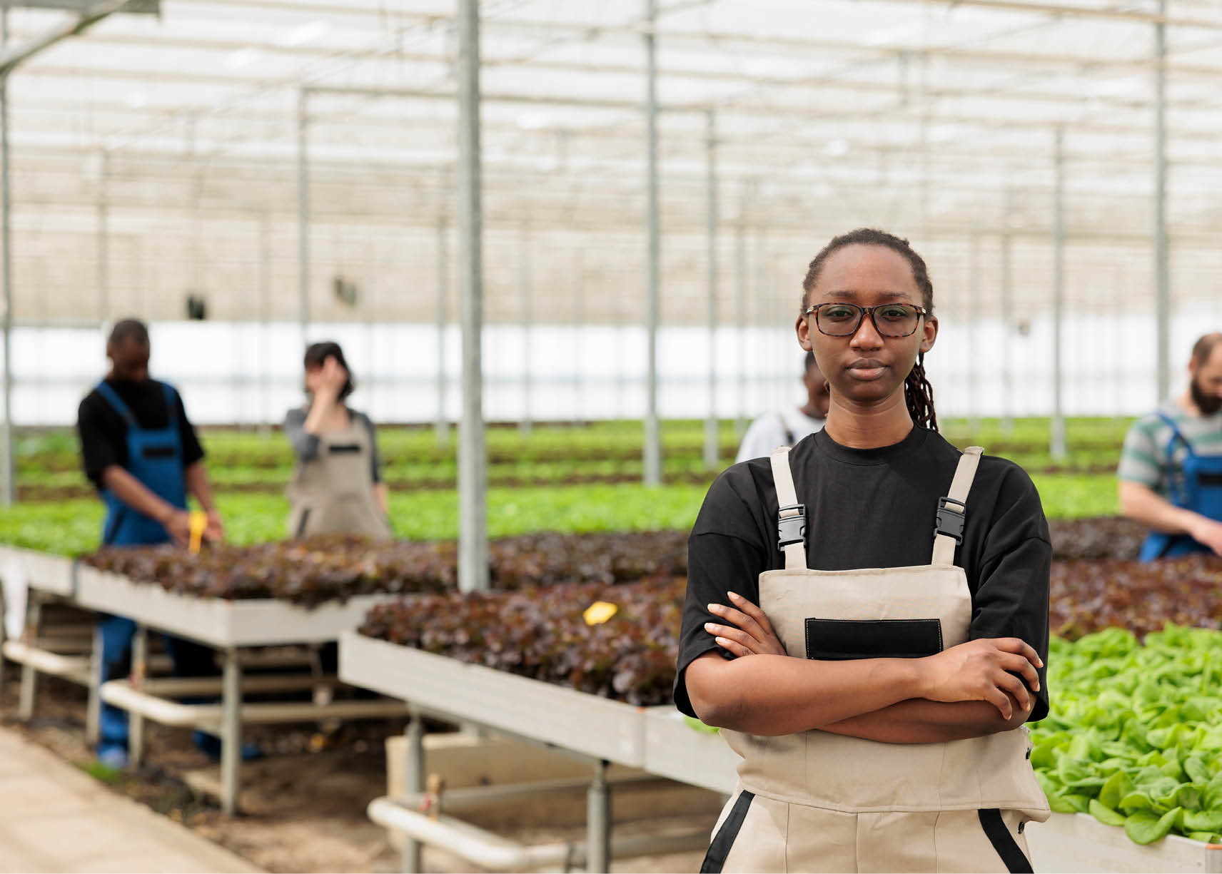 Portrait of confident african american greenhouse worker posing standing next to rows of organic vegetables seedlings. Professional woman standing in hydroponics microgreens plantation.