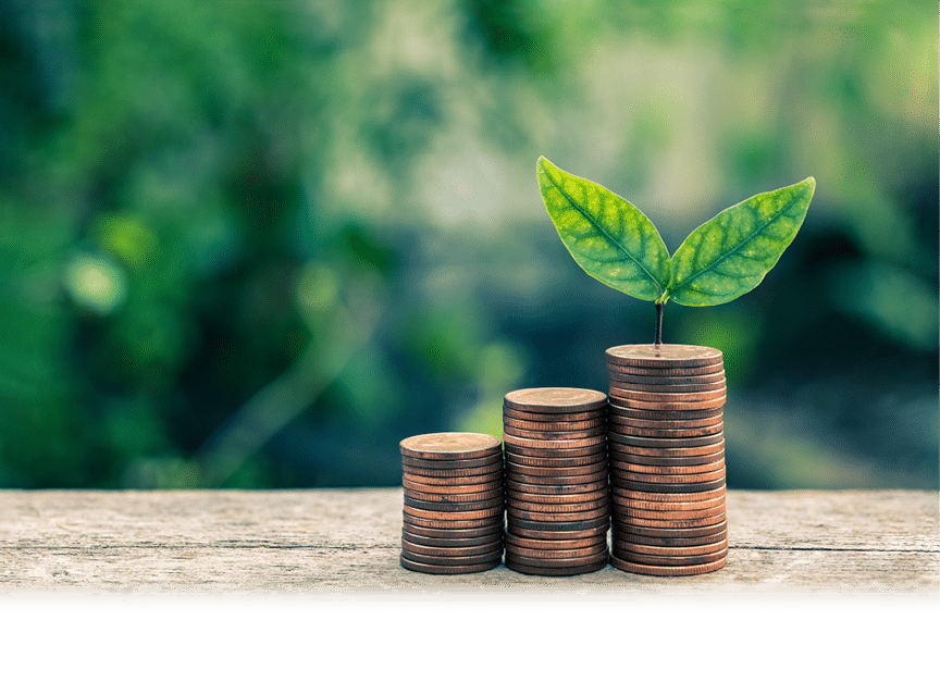 Seedling Plant are Growing on Money Coin Tower with Blurred Bokeh Background - Business and Finance Concept