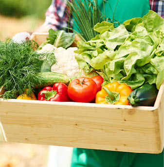 Close up of box with vegetables in hands of mature man 