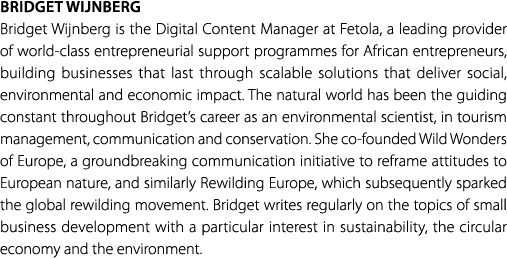 Bridget Wijnberg Bridget Wijnberg is the Digital Content Manager at Fetola, a leading provider of world class entrepr...