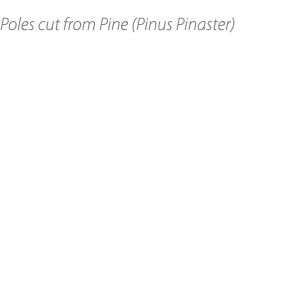 Poles cut from Pine (Pinus Pinaster)