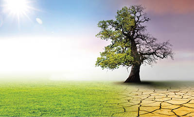 Klimawandel - Landschaft mit ausgetrockneter Erde; Wiese und Eichenbaum