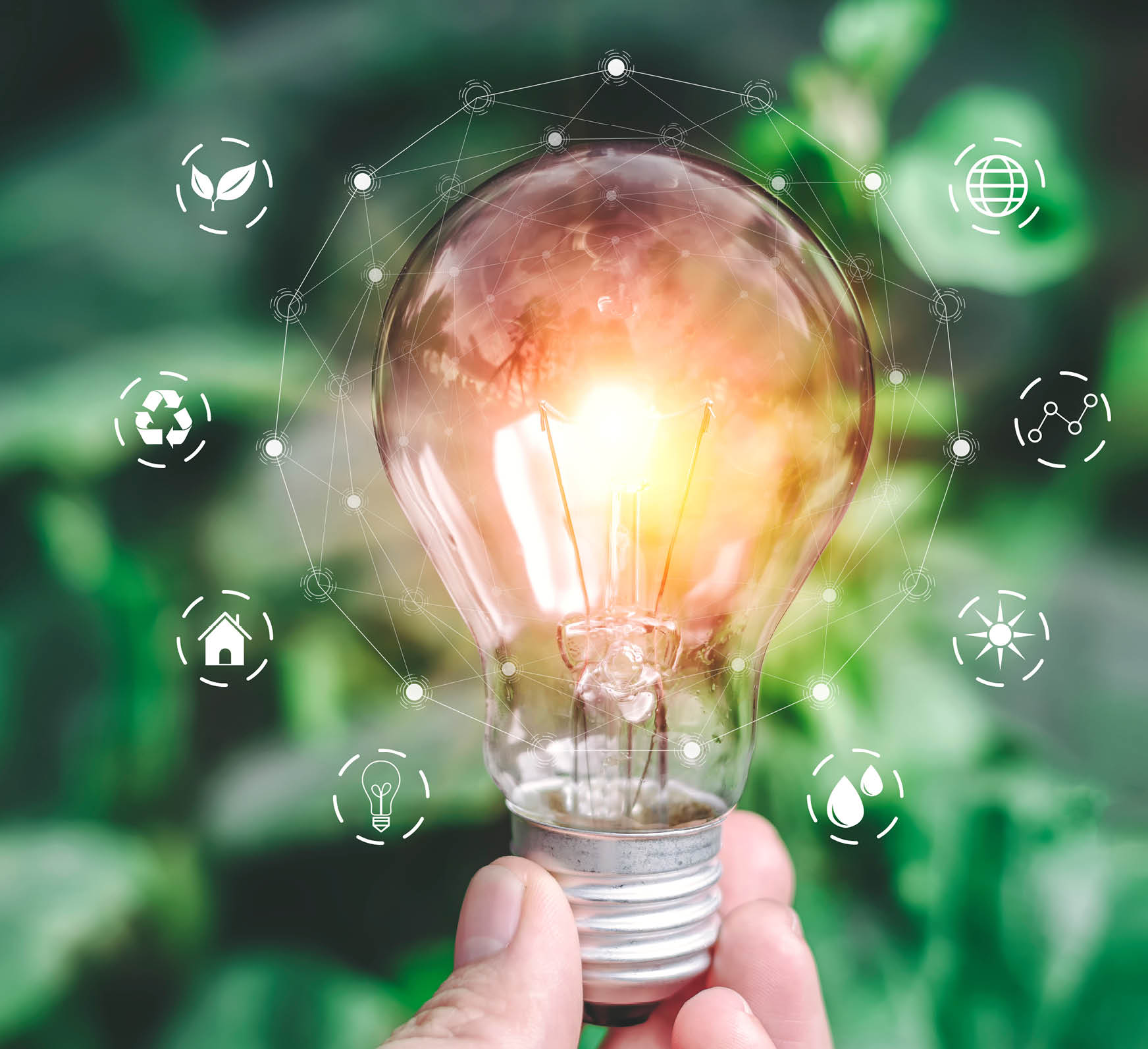 Hand holding light bulb ideas on a background of blurred green trees Ecological energy efficiency energy efficiency concept Together with the conservation of alternative energy and alternative energy.