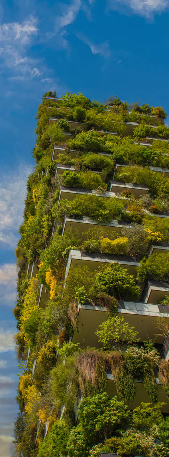 milan italy 4 may 2021: Skyscrapers with woods on the terraces to combat pollution