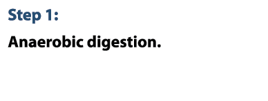 Step 1: Anaerobic digestion.