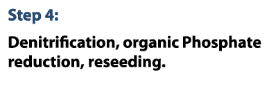 Step 4: Denitrification, organic Phosphate reduction, reseeding.