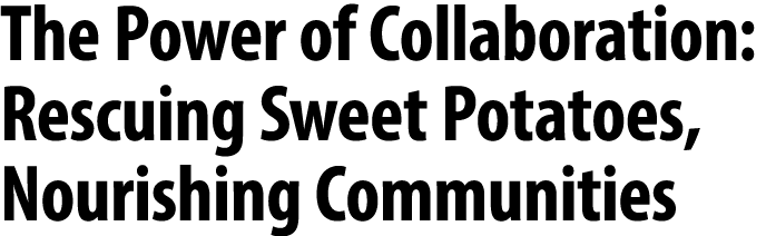 The Power of Collaboration: Rescuing Sweet Potatoes, Nourishing Communities 