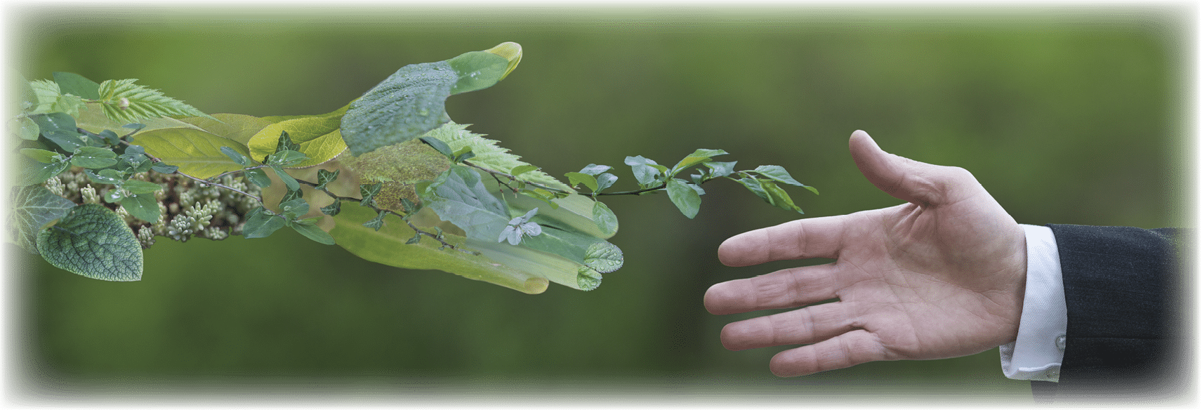 Hand of a businessman reach out towards hand of the nature