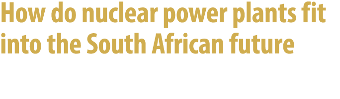 How do nuclear power plants fit into the South African future 