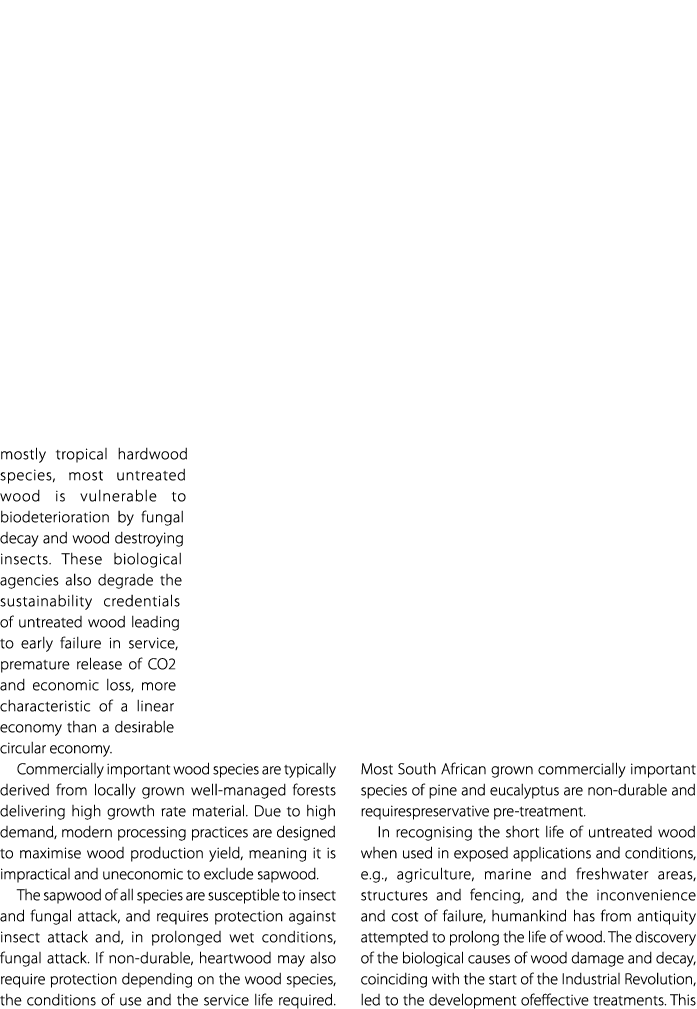 mostly tropical hardwood species, most untreated wood is vulnerable to biodeterioration by fungal decay and wood dest...