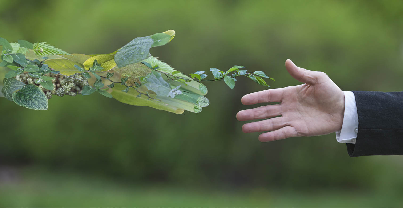 Hand of a businessman reach out towards hand of the nature