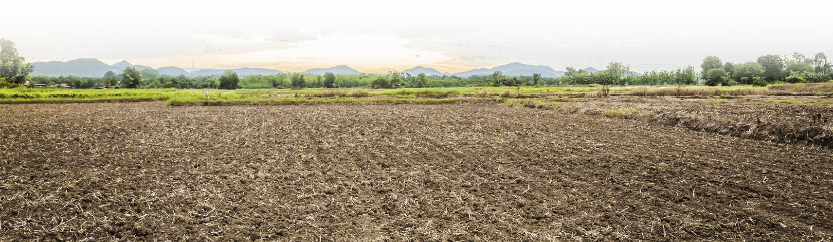 Ploughed field ( Filtered image processed vintage effect. )