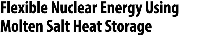 Flexible Nuclear Energy Using Molten Salt Heat Storage 