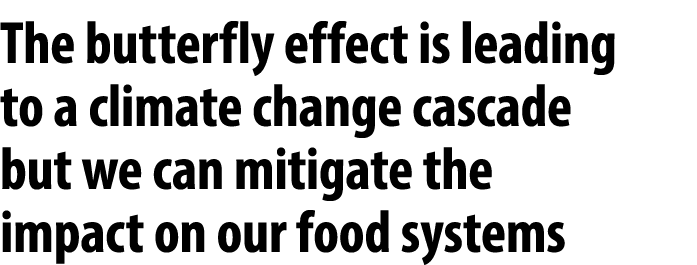 The butterfly effect is leading to a climate change cascade but we can mitigate the impact on our food systems