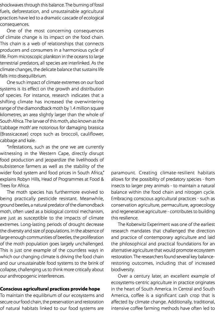 shockwaves through this balance. The burning of fossil fuels, deforestation, and unsustainable agricultural practices...
