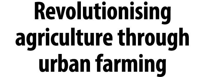 Revolutionising agriculture through urban farming