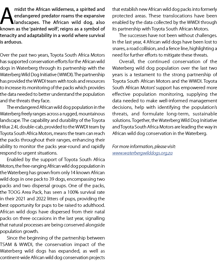 Amidst the African wilderness, a spirited and endangered predator roams the expansive landscapes. The African wild do...