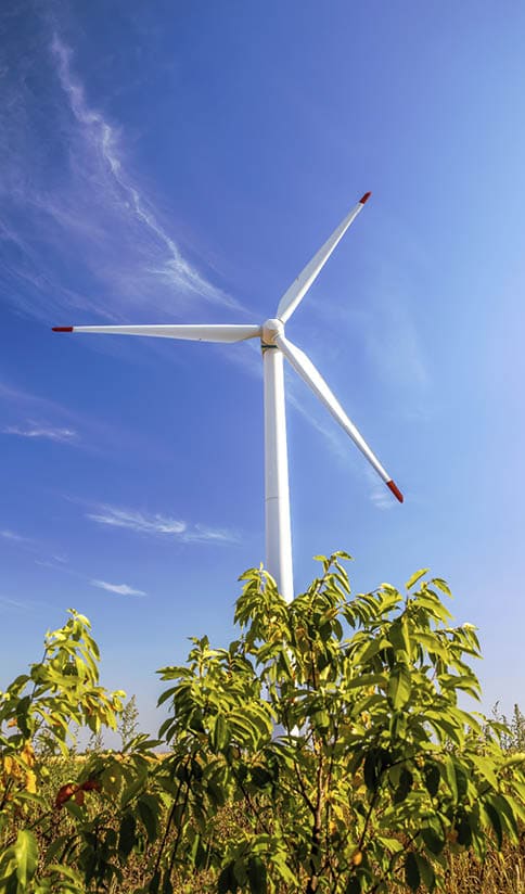 Wind turbine shot from below, grass and bush on the foreground in Moldova