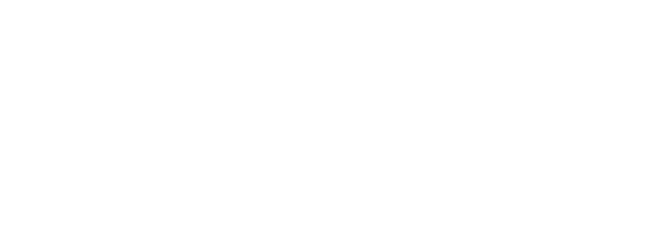 The Southern African Energy Efficiency Confederation 2024.
