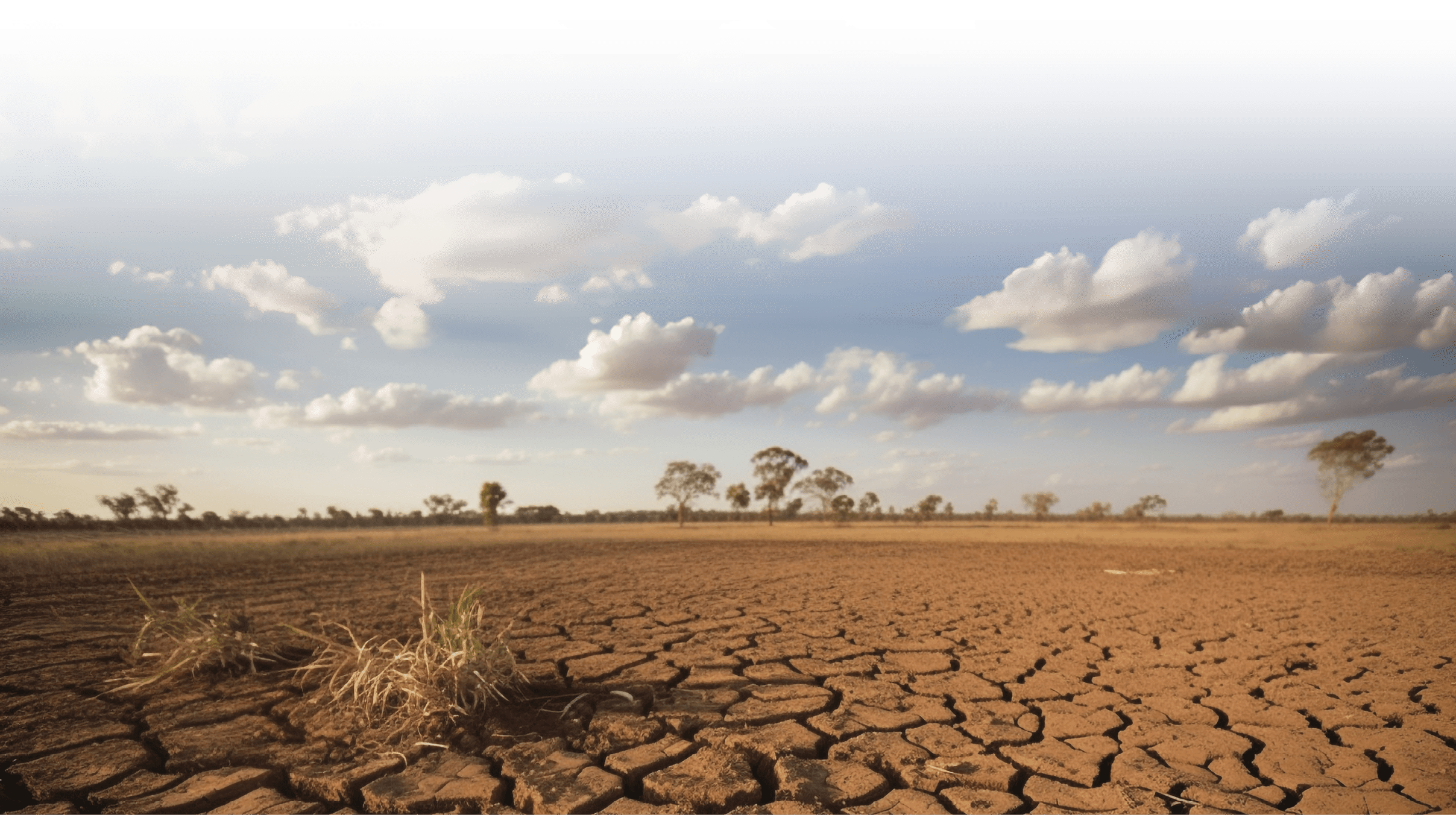 Arid mud landscape, broken tree sunset season generated by artificial intelligence